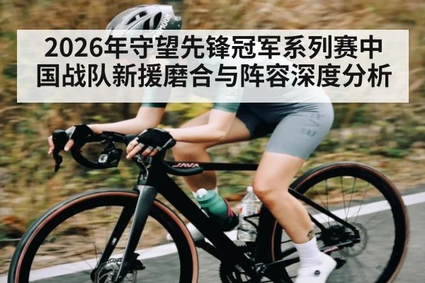2026年守望先锋冠军系列赛中国战队新援磨合与阵容深度分析